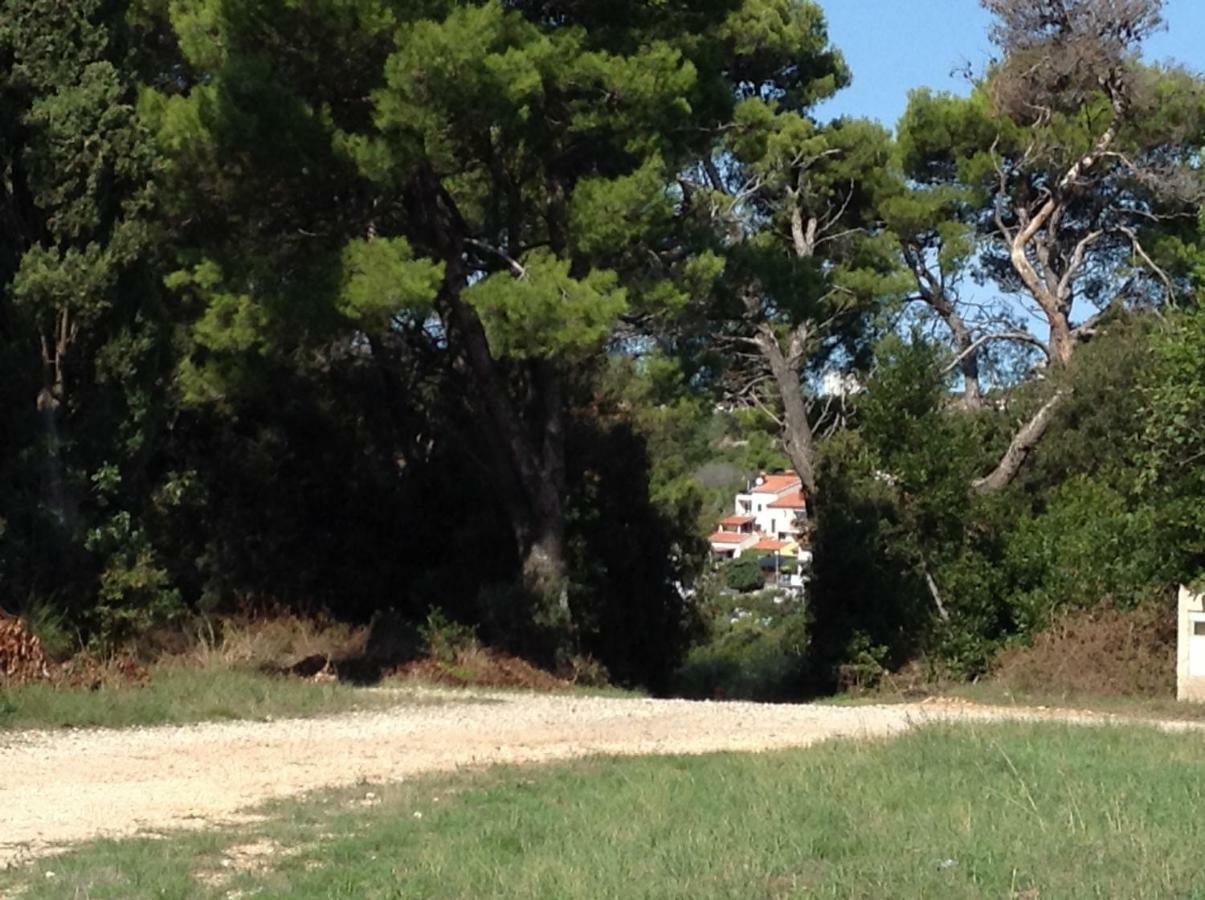 Casa Isabella Appartamento Pola